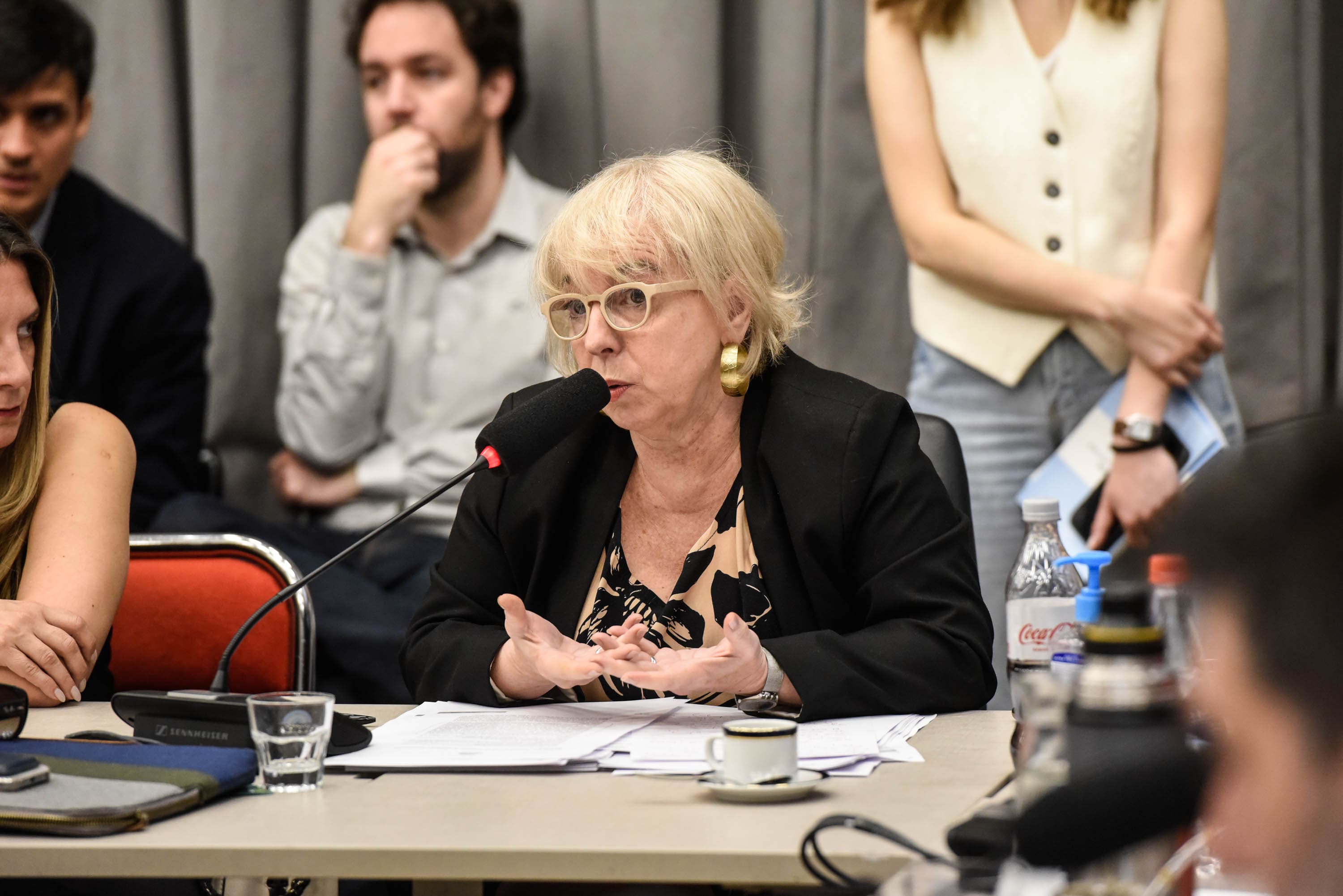 Plenario legislativo sobre ludopatia y ciberapuestas